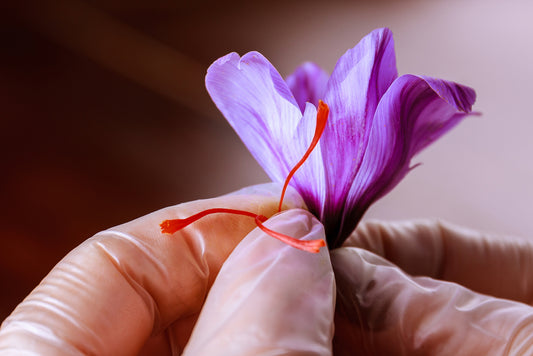 Looking for Where to Buy Saffron Threads Online?