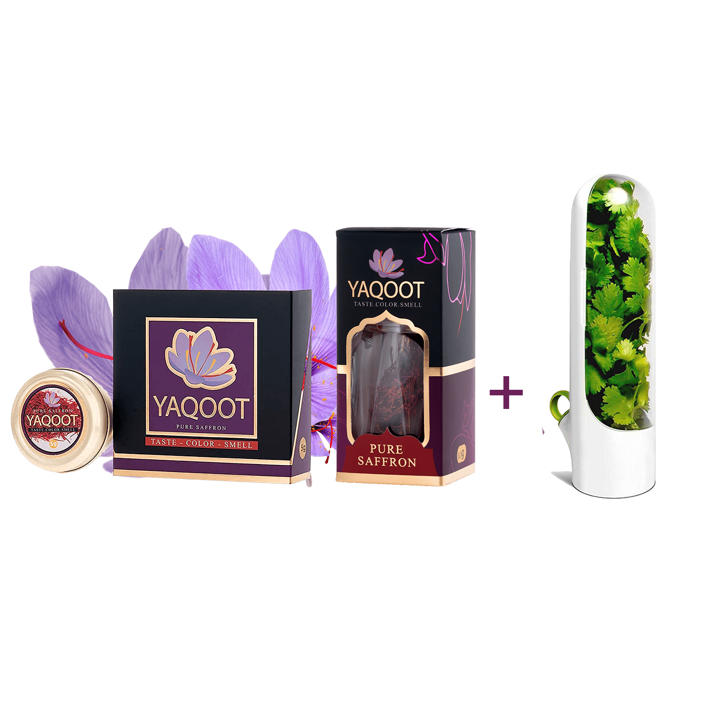 Organic Saffron Premium Gift Bundle (10+5 Grams)